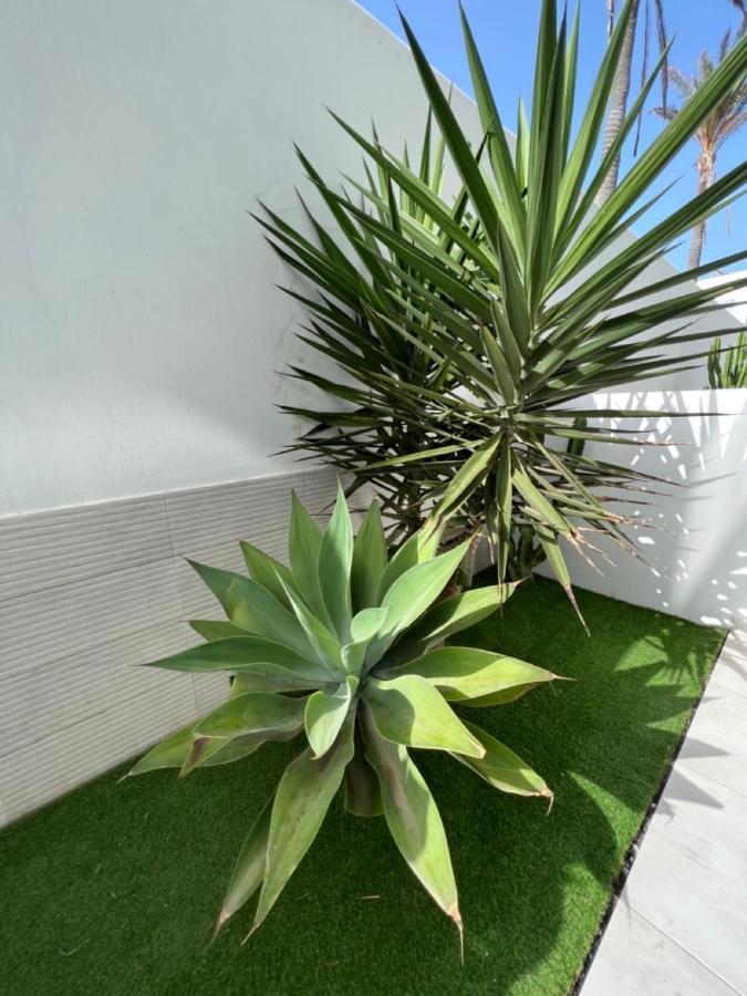 Corralejo Bristol Terrace Apartment Con Giardino Privato Esterno Exterior photo